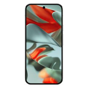 Bild von Google Pixel 9 Pro XL...