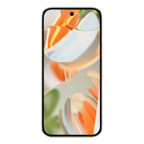 Bild von Google Pixel 9 Pro XL...
